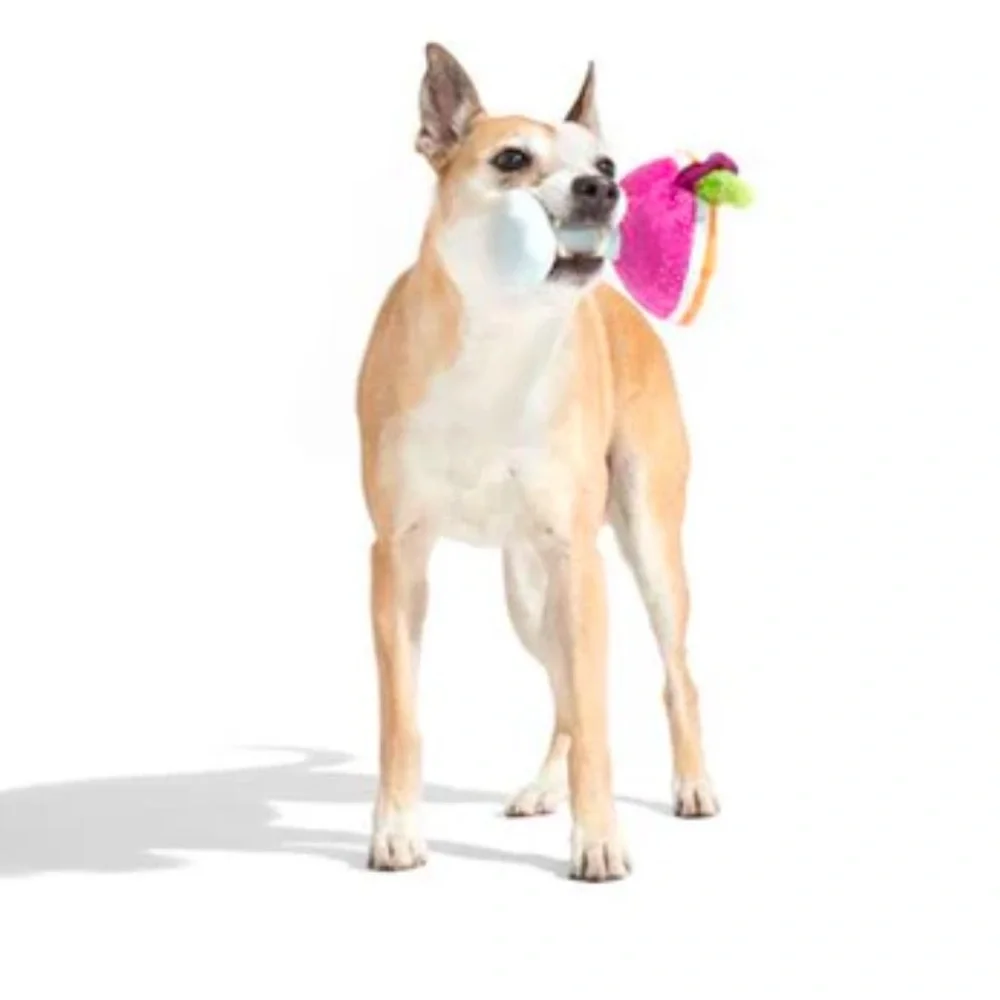 Bark Beets drinking alone dog toy